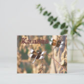 カンザスポストカード：トンボ ポストカード (スタンド正面)