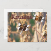 カンザスポストカード：トンボ ポストカード (正面/裏面)