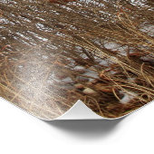 カンザスレッドカントリー納屋の写真の拡大 フォトプリント            (角)