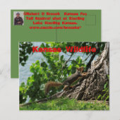 カンザスワイルドライフ優れたアットレイクポストカード ポストカード (正面/裏面)