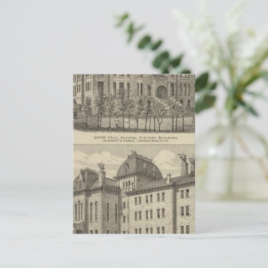 カンザス大学 ポストカード (スタンド正面)