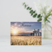 カンザス小麦畑 ポストカード (スタンド正面)