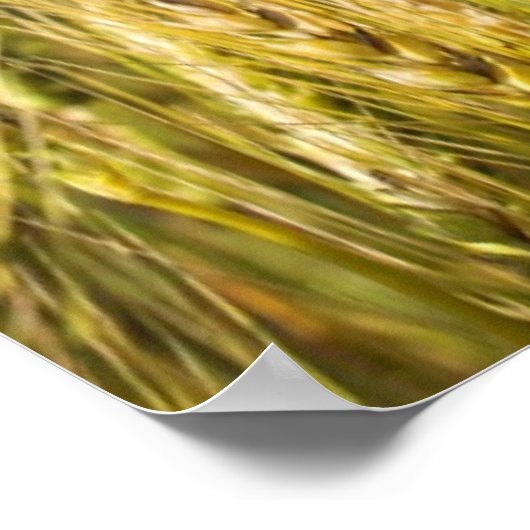 カンザス小麦 ポスター (角)