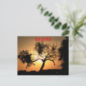 カンザス州の夕焼けの木のシルエット ポストカード (スタンド正面)