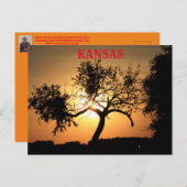 カンザス州の夕焼けの木のシルエット ポストカード (正面/裏面)