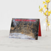 カンザス州の雪の木製フェンスのグリーティングカード カード (黄色い花)