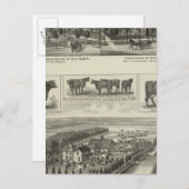 カンザス州ウィチタのレジデンシズ&ストックファーム ポストカード (正面/裏面)