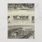 カンザス州ウィチタのレジデンシズ&ストックファーム ポストカード (正面)