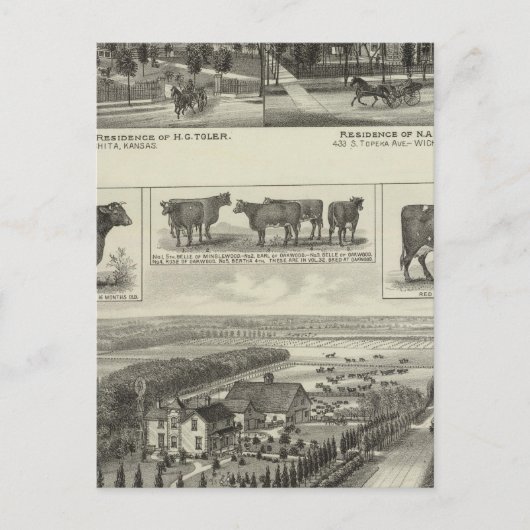 カンザス州ウィチタのレジデンシズ&ストックファーム ポストカード (正面)