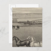 カンザス州ミルブレランチ ポストカード (正面/裏面)