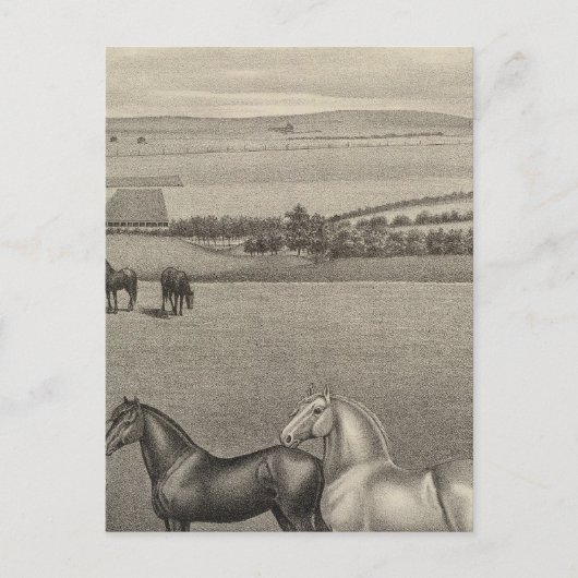 カンザス州ミルブレランチ ポストカード (正面)