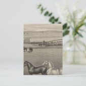 カンザス州ミルブレランチ ポストカード (スタンド正面)