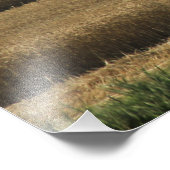 カンザス州小麦の収穫写真拡大 フォトプリント            (角)