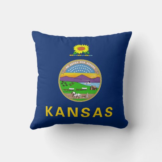 カンザス州旗 クッション (裏面)