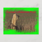 カンザス石灰岩ポストのポストカードでのクローズアップ！ ポストカード (正面)