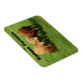 カンザス農家牛 マグネット (右側)