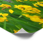 カンザス・ローレンス湖 ポスター (角)