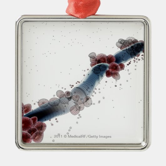 カンジダalbicansのWireframeの顕微鏡の概観 メタルオーナメント (正面)