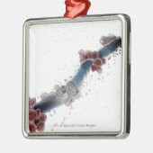 カンジダalbicansのWireframeの顕微鏡の概観 メタルオーナメント (左)