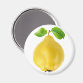 カンス果実 マグネット (正面/裏面)