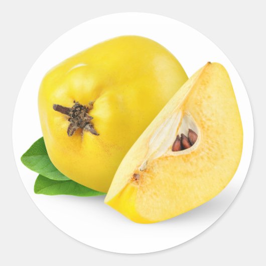 カンス果実 ラウンドシール (正面)