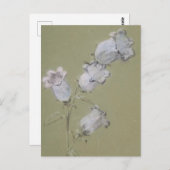 カンタベリーベルのはがきのスプレー ポストカード (正面/裏面)