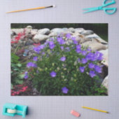 カンタベリーベル 薄葉紙 (クラフト)