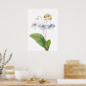 「カンタベリーbyピエール・ジョセフ・レッドテ ポスター (キッチン)