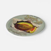 カンタローペシード広告ズアートアンティーク ペーパープレート (アングル)