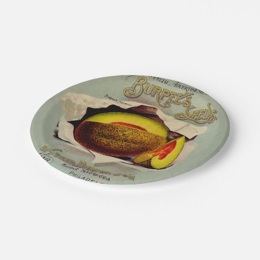 カンタローペシード広告ズアートアンティーク ペーパープレート (アングル)