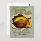 カンタローペシード広告ズアートアンティーク ポストカード (正面/裏面)