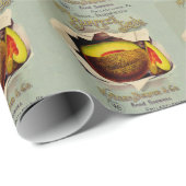 カンタローペシード広告ズアートアンティーク ラッピングペーパー (ロールコーナー)