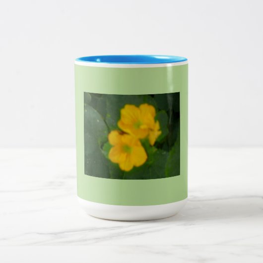 カンタローペ開花 ツートーンマグカップ (中央)
