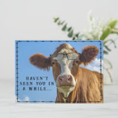 カントリーおもしろいウエスタンランチファームカウグラス シーズンカード (スタンド正面)