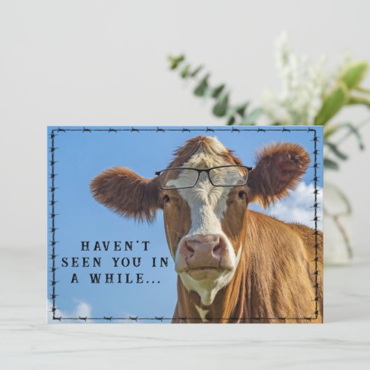 カントリーおもしろいウエスタンランチファームカウグラス シーズンカード (スタンド正面)