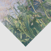 カントリーの牧場の古びた納屋と青い空に太陽の光 薄葉紙 (詳細)