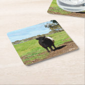 カントリーの雌ガロウェイ牛、紙コースター スクエアペーパーコースター (アングル)