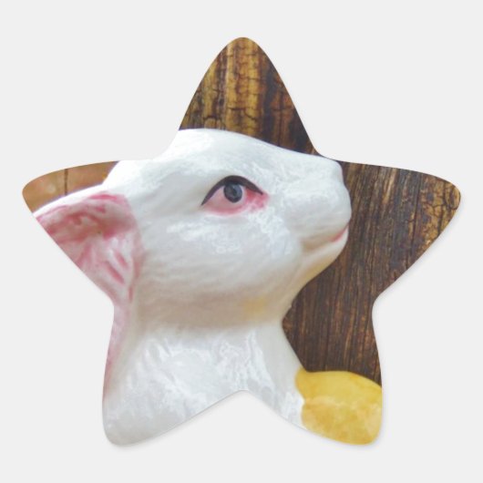 カントリーイースターバニー 星シール (正面)