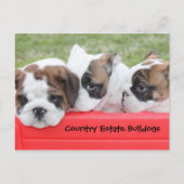 カントリーエステートブルドッグズパピーワゴン ポストカード (正面)