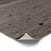 カントリーオークツリーセピア ポスター (角)