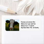 カントリーカウビーフファーム住所 シール (インサイチュ)