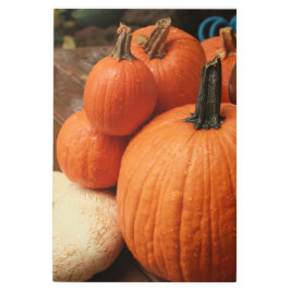 カントリーカボチャのグループを閉じる メタルプリント