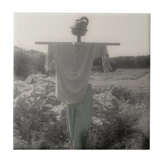 カントリーガーデンかかし白黒 タイル (正面)