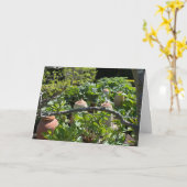 カントリーガーデンとルバーブとテラコッタポット カード (黄色い花)