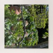 カントリーガーデンとルバーブとテラコッタポット ジグソーパズル (横)