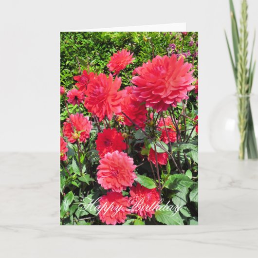 カントリーガーデンの花 カード (正面)