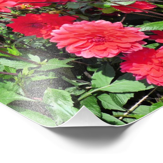 カントリーガーデンの花 フォトプリント            (角)