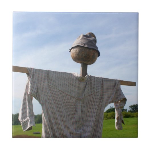 カントリーガーデンカカクレロウ自然 タイル (正面)