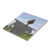 カントリーガーデンカカクレロウ自然 タイル (側面)