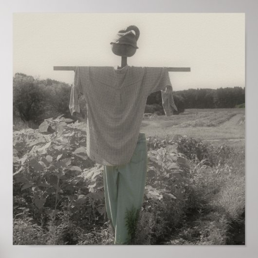 カントリーガーデンスカクレローヴィンテージ部分カラー ポスター (正面)